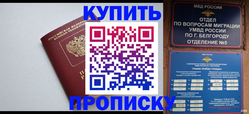 прописка регистрация в Кургане